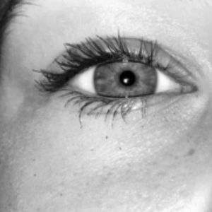 Meet your Posher, Daisy